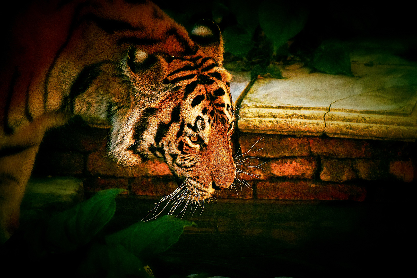 Disney Photography, Disney World Photography, Disneyland Photography, Disney Photos, Disney Pictures,  Disney Photography Blog, Disney Tourist Blog, Disney Event Photography, DisneyTouristBlog, DisneyPhotographyBlog, Disneyeventphotography, Disney Event P