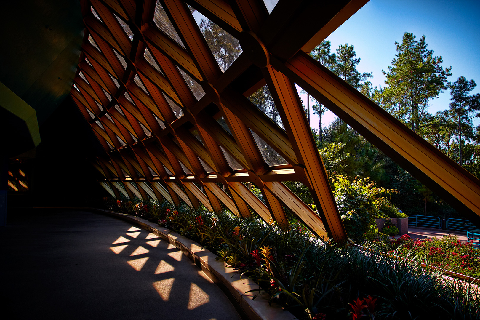 Disney Photography, Disney World Photography, Disneyland Photography, Disney Photos, Disney Pictures,  Disney Photography Blog, Disney Tourist Blog, Disney Event Photography, DisneyTouristBlog, DisneyPhotographyBlog, Disneyeventphotography, Disney Event P