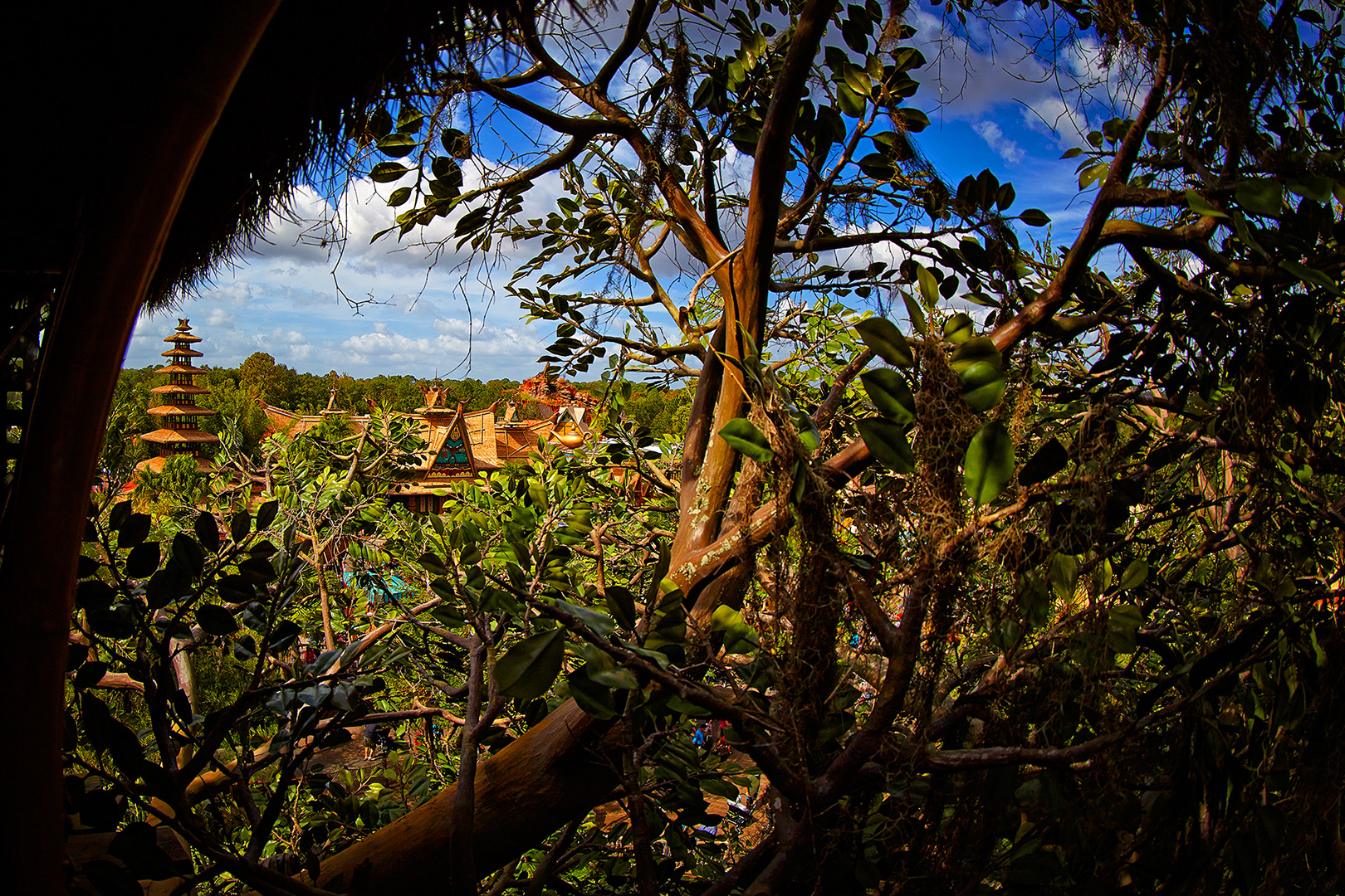 Disney Photography, Disney World Photography, Disneyland Photography, Disney Photos, Disney Pictures,  Disney Photography Blog, Disney Tourist Blog, Disney Event Photography, DisneyTouristBlog, DisneyPhotographyBlog, Disneyeventphotography, Disney Event P